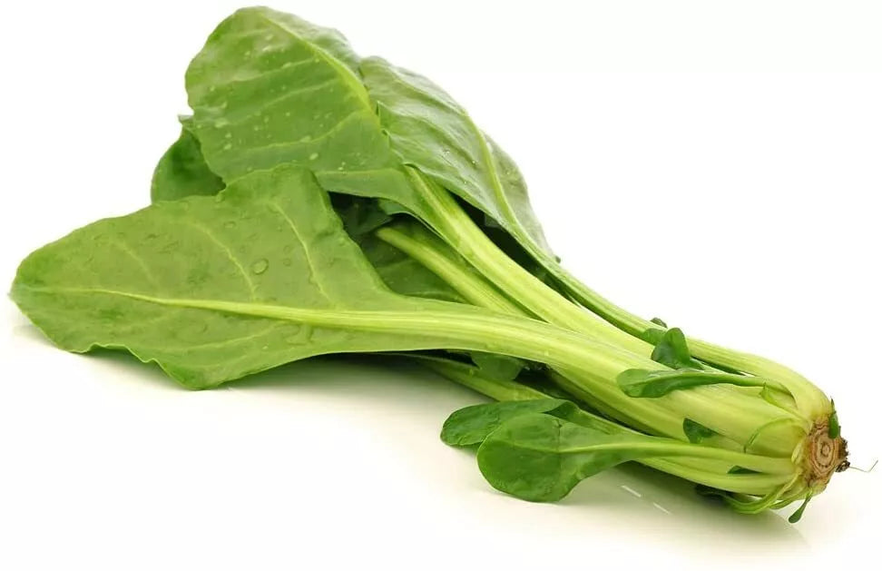 Chinese Spinach Seeds 100 Pack Organic Edible Greens Ipomoea aquatica for Gardening Culinary Use