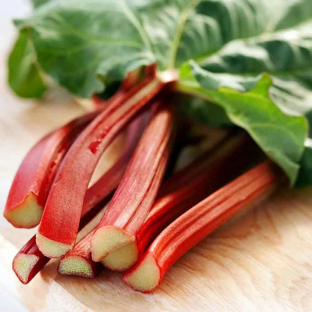 Victoria Red Rhubarb Seeds - 50 Count - Perennial, Easy to Grow - Rheum rhabarbarum - Vibrant Color for Culinary Use