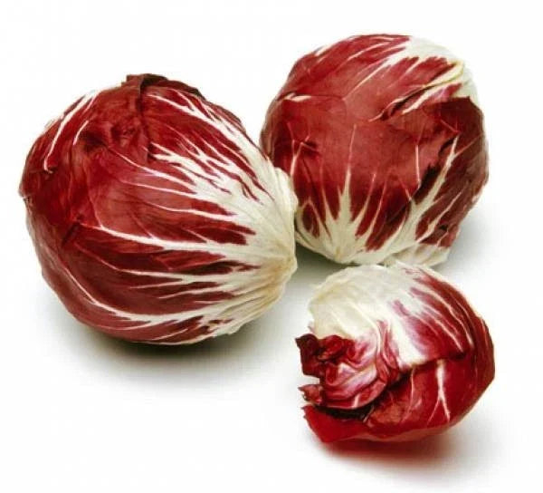 Radicchio Seeds - 100 Seeds - Palla Rosa Variety - Cichorium intybus - Vitamin-Packed for Home Gardening