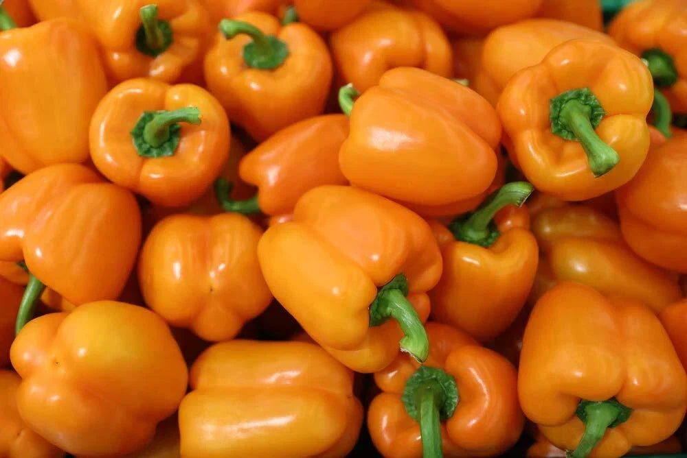 Orange King Bell Pepper Seeds - 100 Non-GMO Heirloom Seeds - Sweet Orange Variety - Capsicum annuum - Ideal for Home Gardening