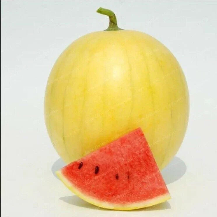 20PCS Gold Skin Watermelon Seeds - Yellow Royal Golden Variety - Citrullus lanatus - Sweet Juicy Flesh for Home Gardens