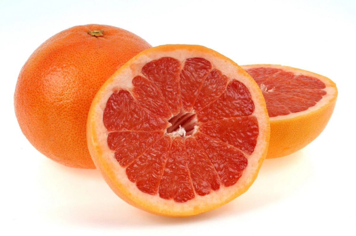 Ruby Red Grapefruit Seeds - 5+ Count - Pink Variety - Citrus × paradisi - Non-GMO, Fast Shipping USA