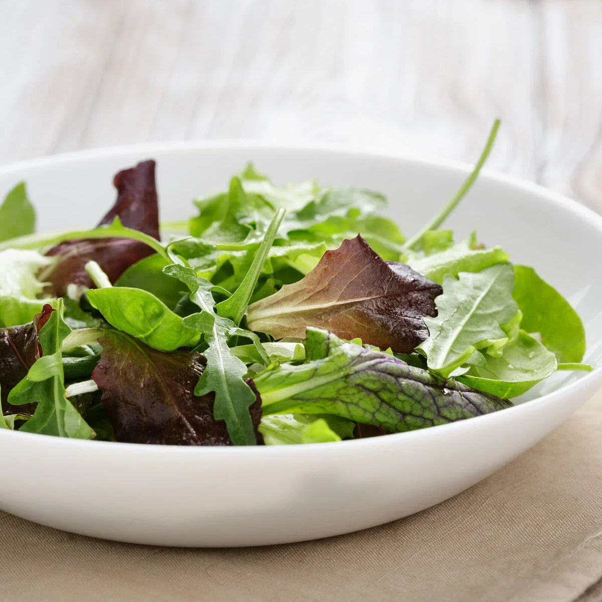 Gourmet Mixed Lettuce Seeds | Bulk Non-GMO | Heirloom Varieties | Lactuca sativa | Fresh Garden Seeds USA