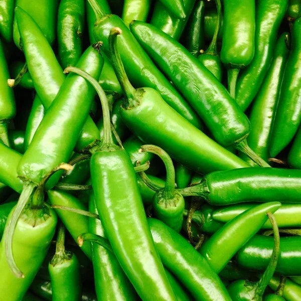 Serrano Pepper Seeds Packet - Heirloom Non-GMO Variety - Capsicum annuum - Ideal for Salsa and Sauces