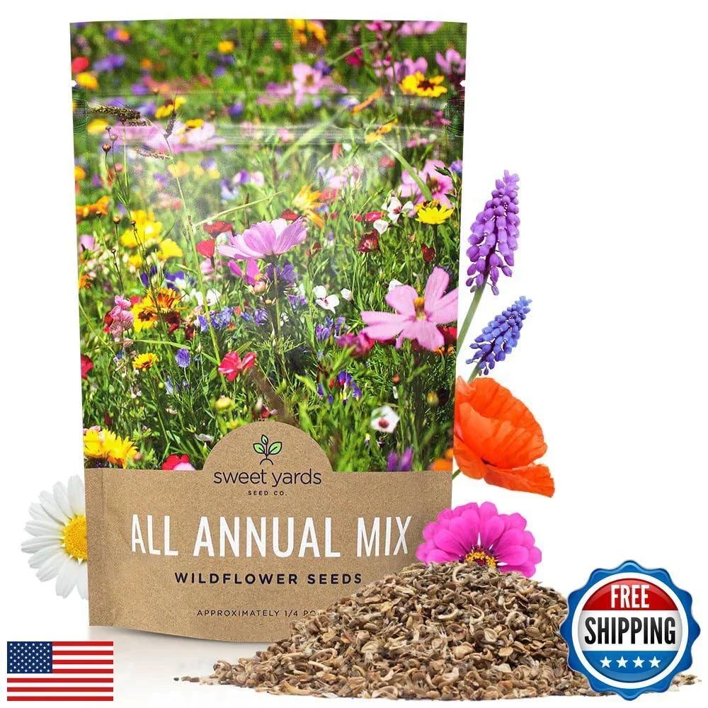 Bulk Wildflower Seeds 1/4 Pound Annual Quick Blooming Mix Over 30,000 Seeds Various Wildflowers