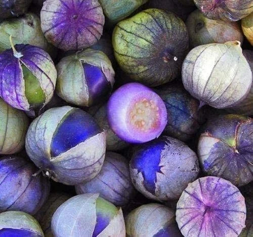 Purple Tomatillo Seeds | 100+ Organic Heirloom Seeds | Physalis ixocarpa | Ideal for Salsa Making | Grown in USA