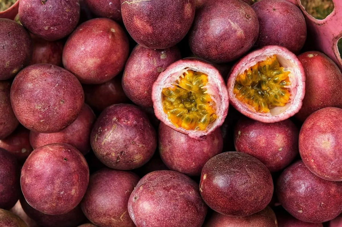 Passion Fruit Seeds - 50 Count - Healthy Variety - Passiflora edulis - Ideal for Home Gardens and Tropical Climates