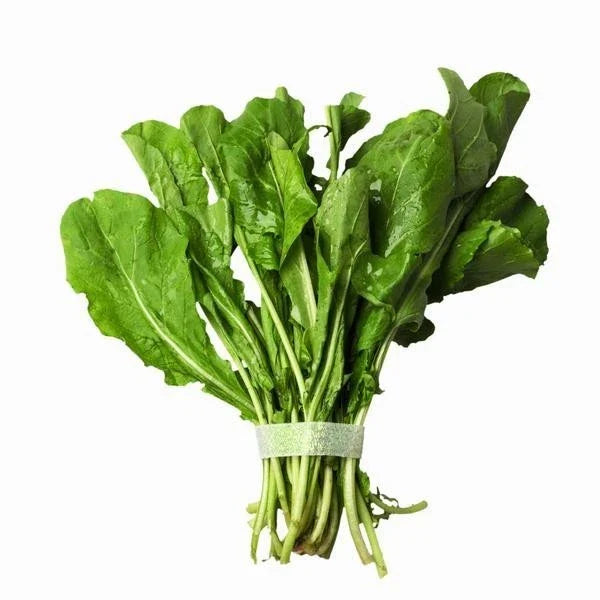 Arugula Seeds Bulk 500 Count - Peppery Flavor Herb - Eruca sativa - Non-GMO, Fast-Growing for Salads & Pesto
