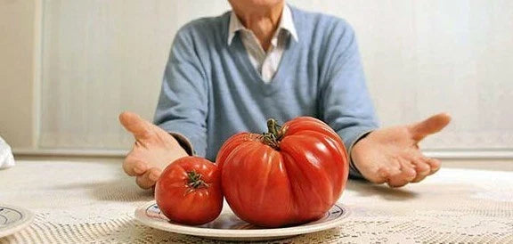 Bulk 200 Behemoth Giant Tomato Seeds - Heavy Yielding, Sweet Flavor - Solanum lycopersicum - Ideal for Home Gardens