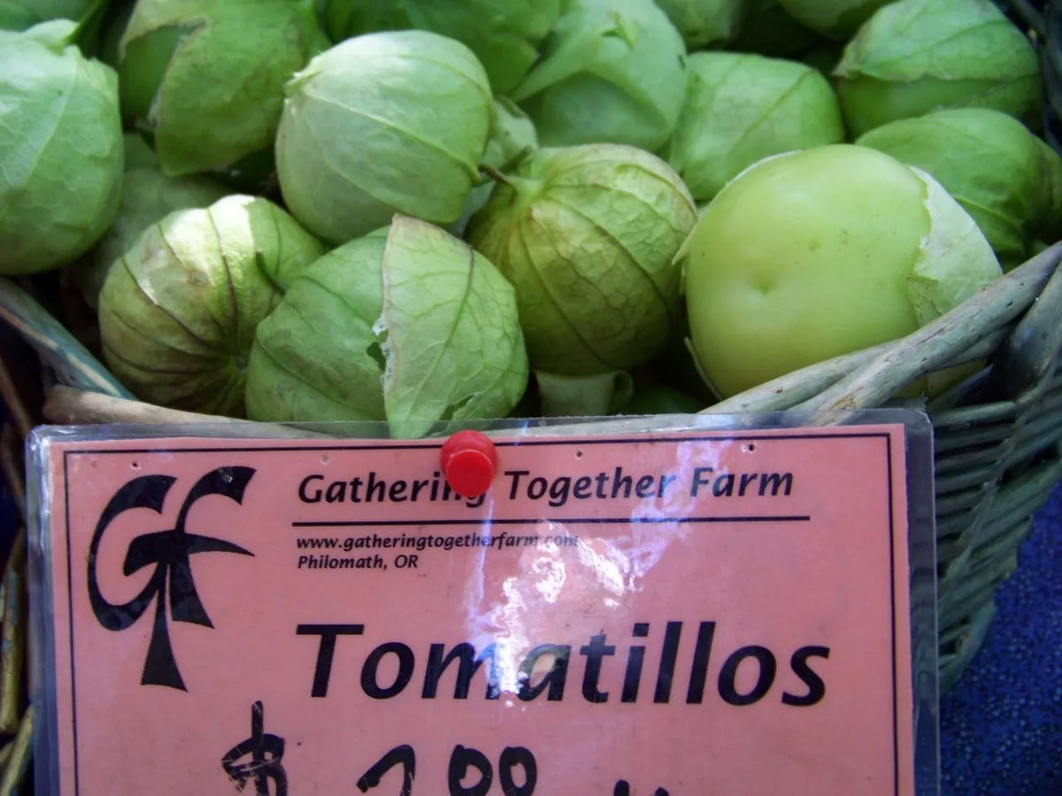 Tomatillo Seeds - 100 Seeds - Toma Verde for Salsa - Physalis ixocarpa - Non-GMO, High Germination Rate, GroCo USA