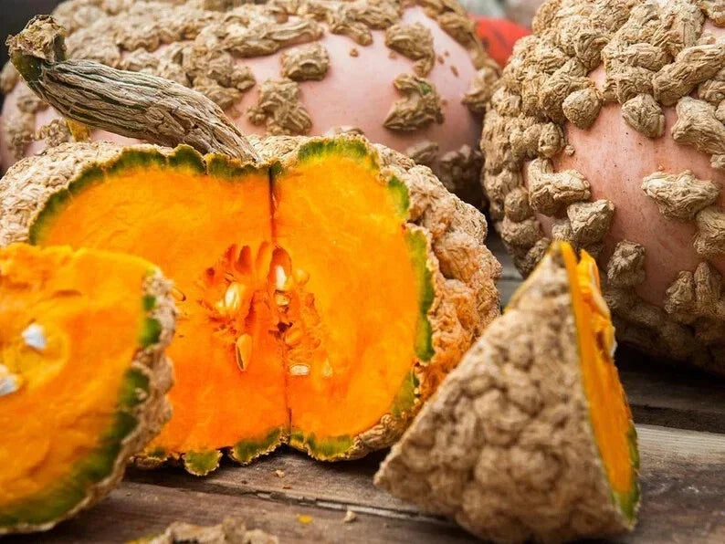 Organic Peanut Pumpkin Seeds - 10 Pack - Cucurbita pepo - USA Grown, High Germination Rate, Sweet Flavor, Ideal for Home Gardens