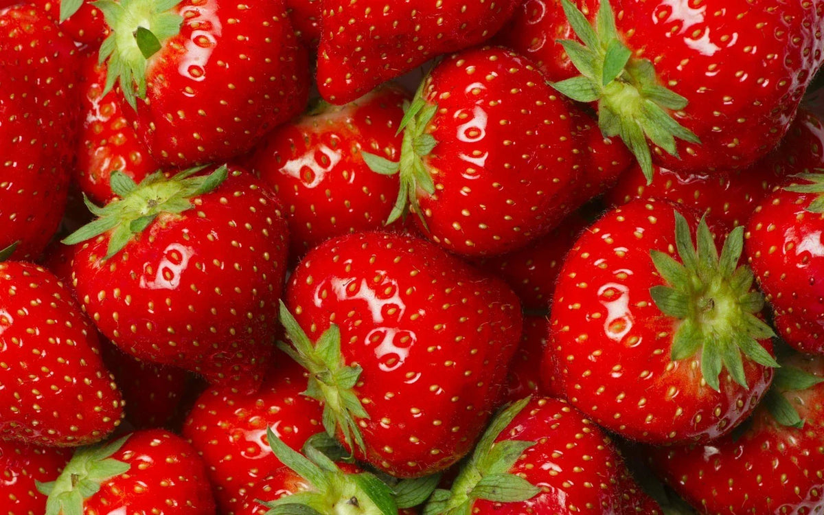Jewel Strawberry Plants - 5 Root Clusters - Junebearing - Fragaria × ananassa - Hardy Zones 4-8 - Sweet, Juicy Fruit