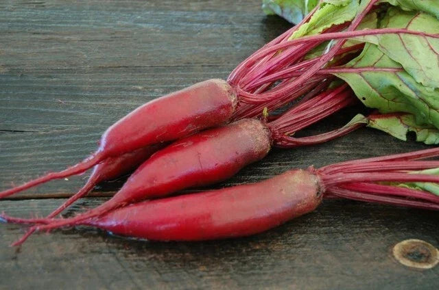 Cylindra Long Red Beet Seeds 50-4800 Count Heirloom Beta vulgaris Sweet Delicious Roots for Gardening and Culinary Use