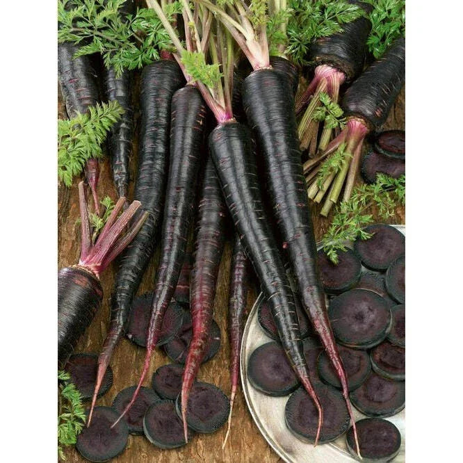 Black Nebula Carrot Seeds - 200 Non-GMO Heirloom Seeds, Unique Deep Purple Vegetable, Daucus carota