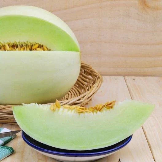 Green Honeydew Melon Seeds - 30 Pack - Sweet Cucumis melo for Easy Planting and Gardening