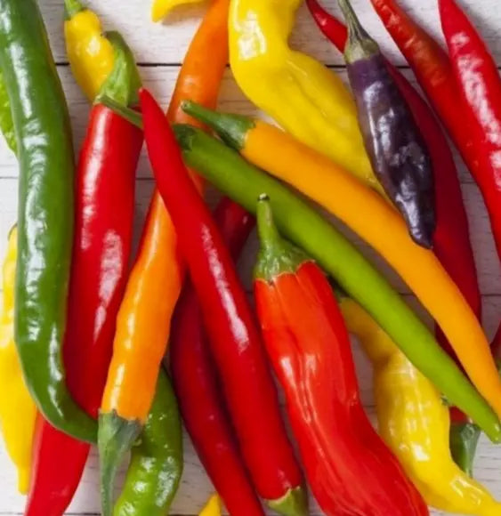 Rainbow Cayenne Pepper Seeds Mix - 30+ Colorful Spicy Varieties - Capsicum annuum - Ideal for Salsas & Containers