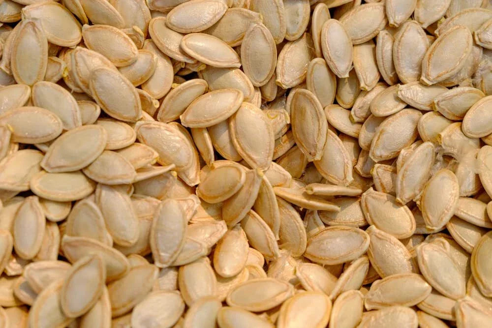 Delicata Squash Seeds - 20 Jester Seeds - Organic, Heirloom, Non-GMO - Cucurbita Pepo - Sweet Flavor, Striped Skin