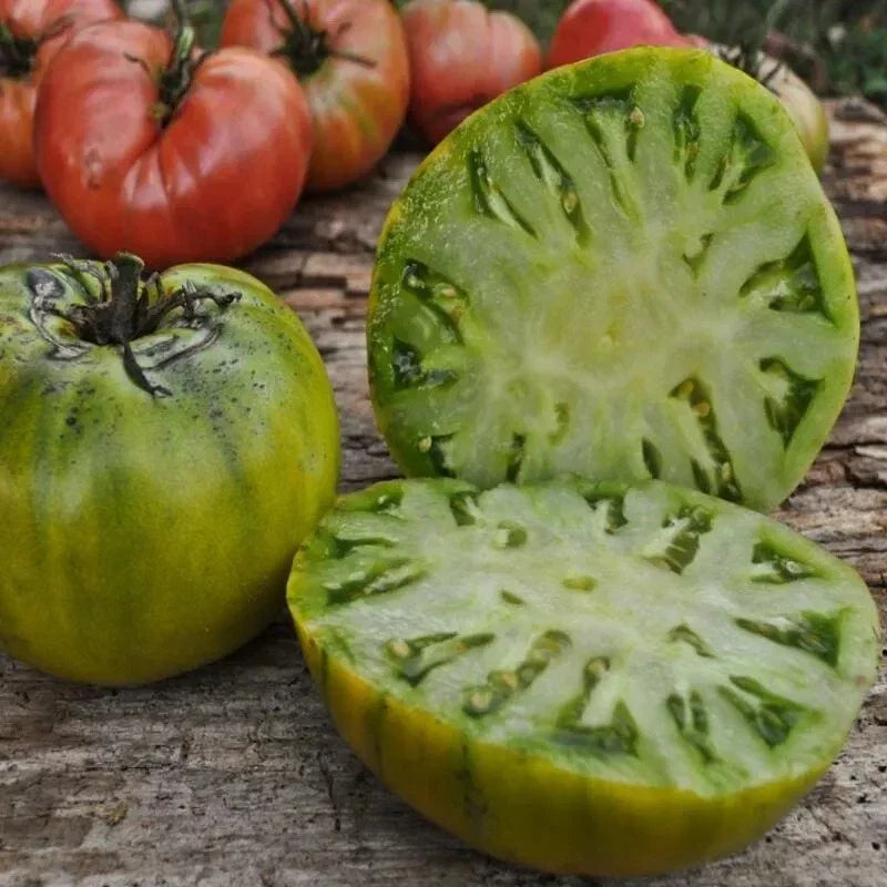 Cherokee Green Tomato Seeds - 30+ Heirloom Organic Non-GMO - Solanum lycopersicum - Rare Variety for Home Garden