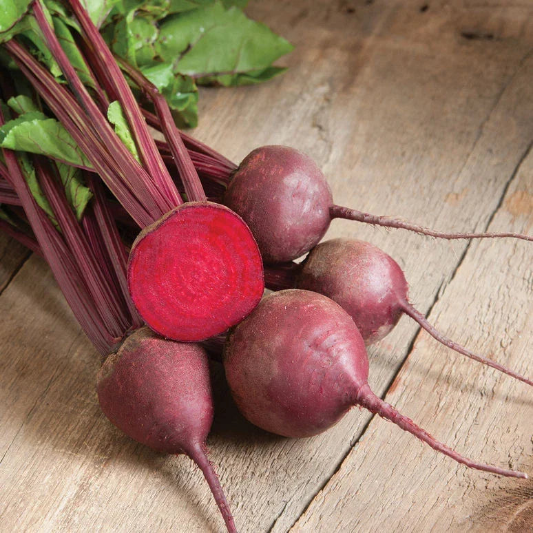 Beet Seed Packet - Ruby Queen Variety - Organic Non-GMO - Beta vulgaris - High Germination for Home Gardening
