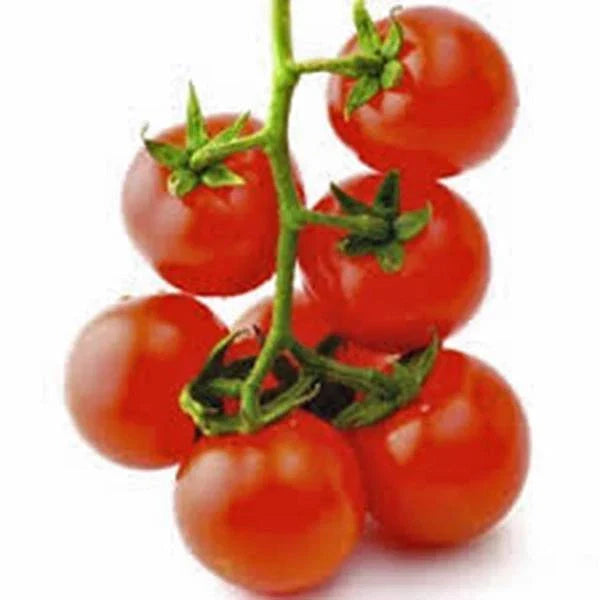 Sweet Large Cherry Tomato Seeds - Heirloom, Non-GMO, 100+ Seeds, Solanum lycopersicum for Home Gardens