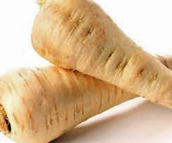 PARSNIP SEEDS 100 COUNT All American Heirloom Non-GMO Pastinaca sativa for Home Garden Cooking Soups Stews
