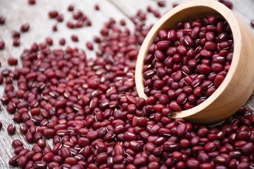 Adzuki Soybean Seeds - 100 Red Bean Seeds for Planting - Vigna angularis - Nutritious and Versatile Crop for Garden