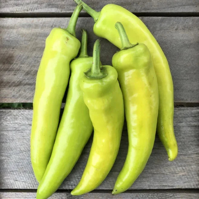 Hungarian Hot Wax Pepper Seeds - 100+ Count - Capsicum annuum - 15,000 Scoville - Ideal for 2025 Planting
