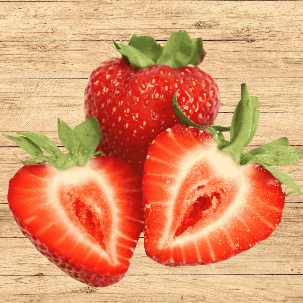 Everbearing Strawberry Plants 25 Bare Roots Albion Extra Large Sweet Fragaria × ananassa for Home Gardens and Containers