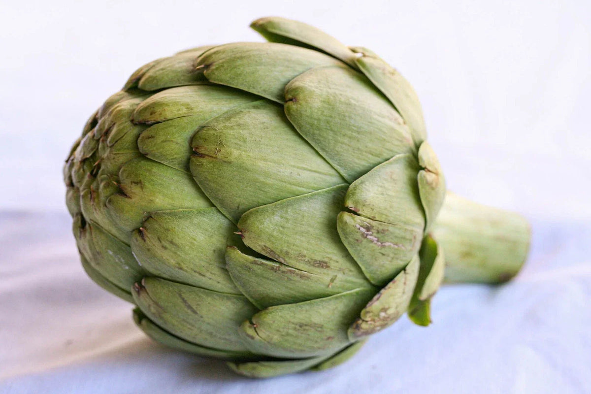 Artichoke Seeds 5 Pack Heirloom Variety Cynara scolymus Non-GMO for Home Gardens