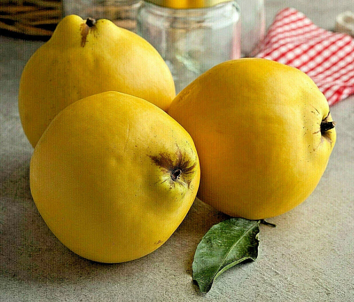 20 Common Quince Seeds, Sweet Edible Fruits, Cydonia oblonga, Fruit Tree Seeds for Home Garden