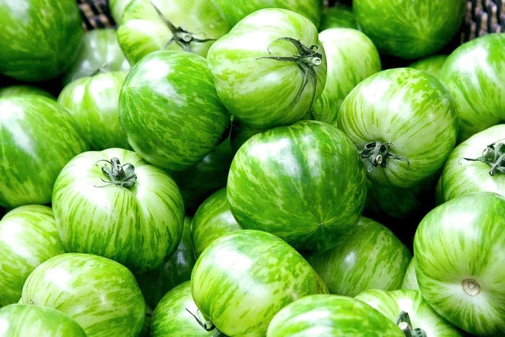 Green Zebra Tomato Seeds - 50+ Heirloom Seeds, Striped Green and Yellow, Solanum lycopersicum, Non-GMO, Made in USA