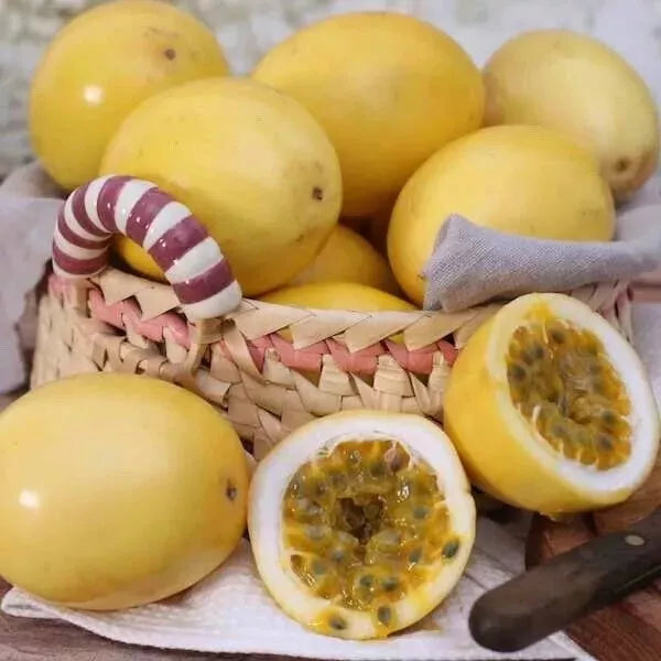 Yellow Passion Fruit Seeds 30 Pack - Sweet Granadilla Passiflora Ligularis - Tropical Fruit Garden Seeds - 2024 USA