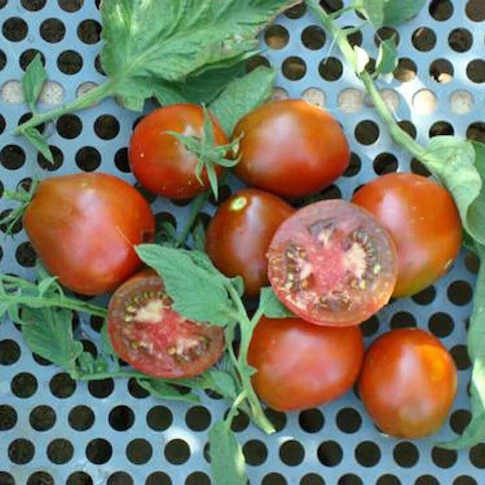 Black Truffle Tomato Seeds - Non-GMO, Indeterminate Variety - Solanum lycopersicum - Easy to Grow for Home Gardens
