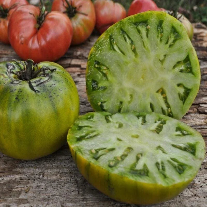 Cherokee Green Tomato Seeds - 120+ Heirloom Organic NON-GMO - Solanum lycopersicum - Rare Green Variety for Home Gardens