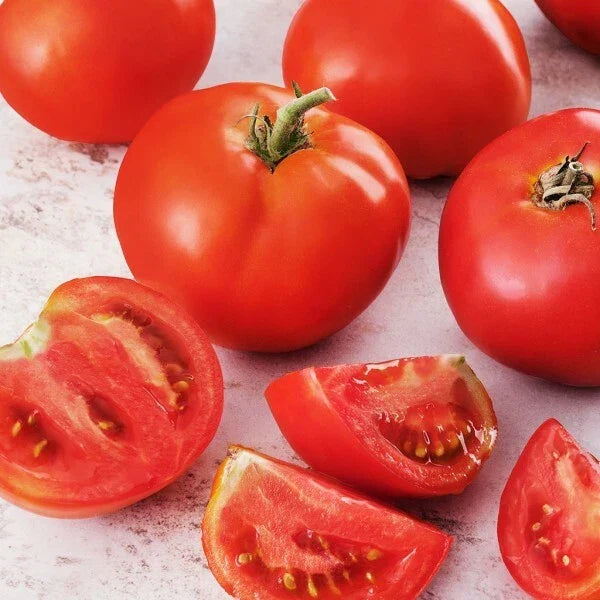 Creole Tomato Seeds | Heirloom Non-GMO Packet | Lycopersicon esculentum | Organic Gardening Seeds for Delicious Tomatoes