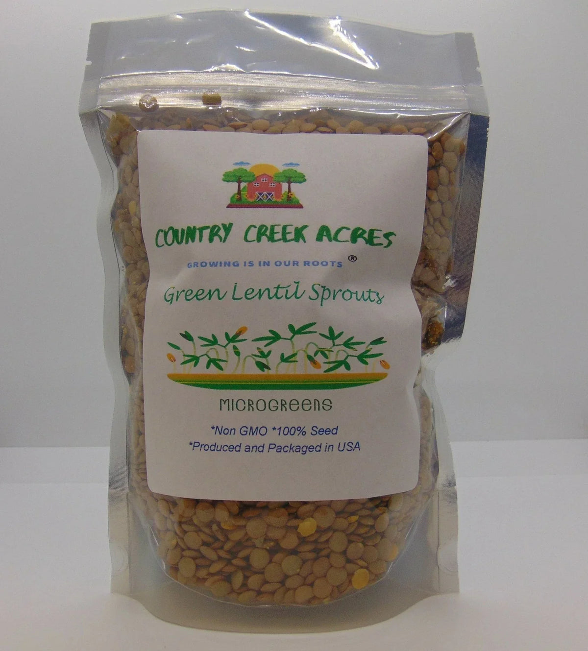 Green Lentils 8 oz Bulk Dried Legumes High Protein Vegan Gluten-Free Nutrient-Rich Cooking Ingredient Lens culinaris
