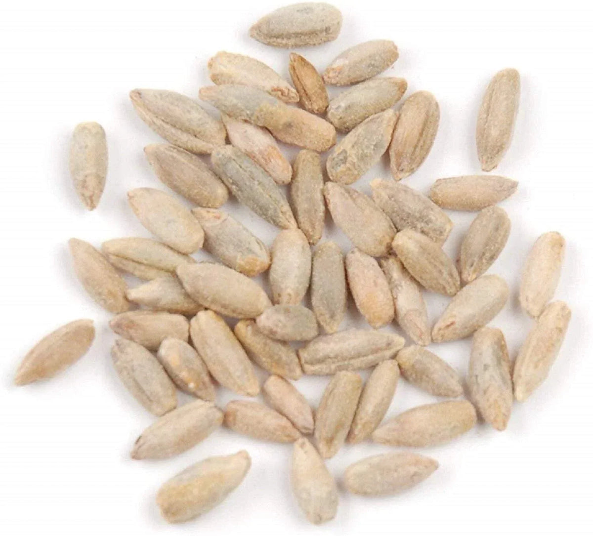 Rye Berries 8 OZ Bag | Whole Grain Nutrition, High in Fiber & Iron | Secale cereale