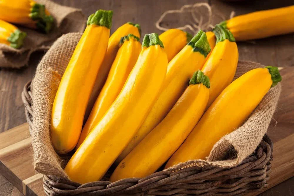 Goldy Squash Seeds - 10 Pack - Golden Zucchini - Cucurbita pepo - Easy to Grow, Delicious Flavor, Ideal for Container Gardening
