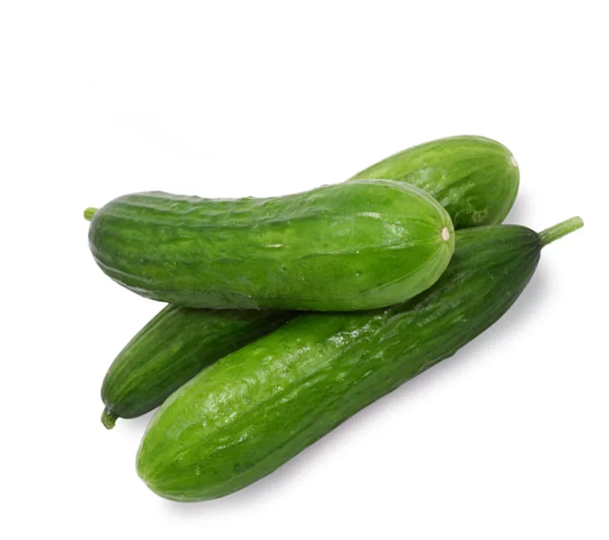 Beit Alpha Cucumber Seeds - 20 Pack - Persian Burpless - Non-GMO Cucumis sativus - Ideal for Home Gardens