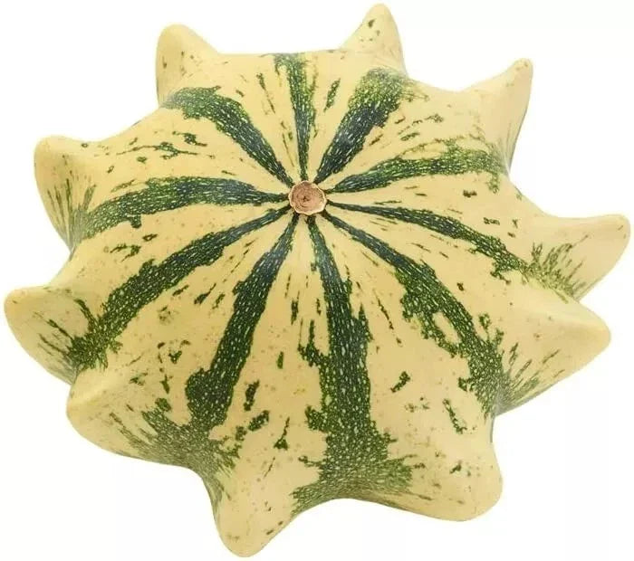 Crown of Thorns Shenot Gourd Seeds - 30+ Organic Non-GMO Heirloom Squash Seeds - Cucurbita pepo for Home Gardening
