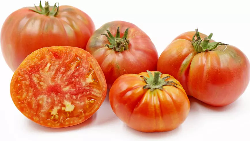 Vintage Wine Striped Tomato Seeds - 30+ Heirloom Beefsteak Seeds - Solanum lycopersicum - Rare 1 LB+ Variety for Home Garden