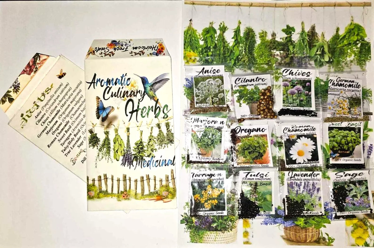 Culinary Herb Seeds Variety Pack 12+ Heirloom Non-GMO Seeds for Home Gardening - Various Species