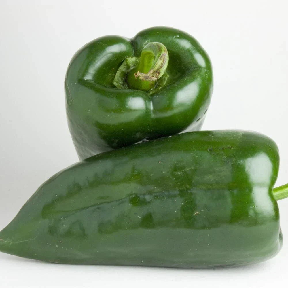 Poblano Pepper Seeds | Heirloom Non-GMO | Organic Capsicum annuum | 25 Seeds for Home Gardening