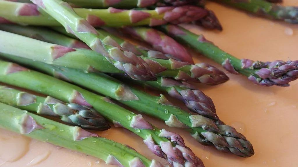 Mary Washington Asparagus Seeds - NON-GMO Heirloom Vegetable Garden Seeds - Asparagus officinalis