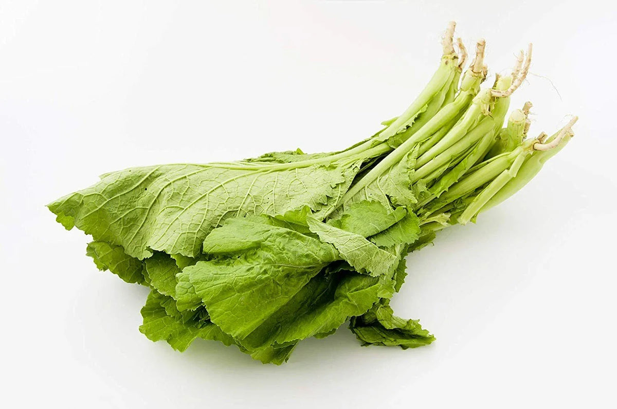 Florida Broadleaf Mustard Greens Seeds - 250 Pack - Heirloom Brassica juncea - Non-GMO, Made in USA, Fast-Growing Greens