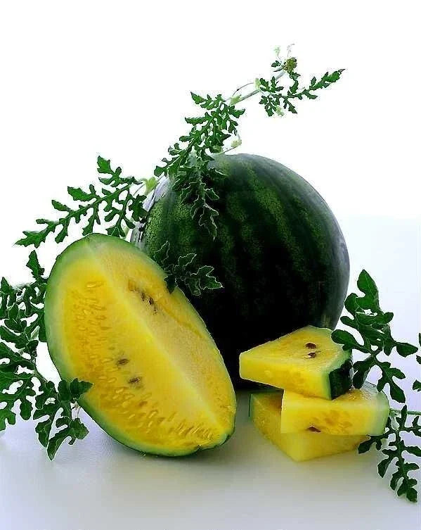 Golden Honey Watermelon Seeds - 10+ Non-GMO Heirloom - Citrullus lanatus - Sweet, Golden-Fleshed Melon for Home Garden