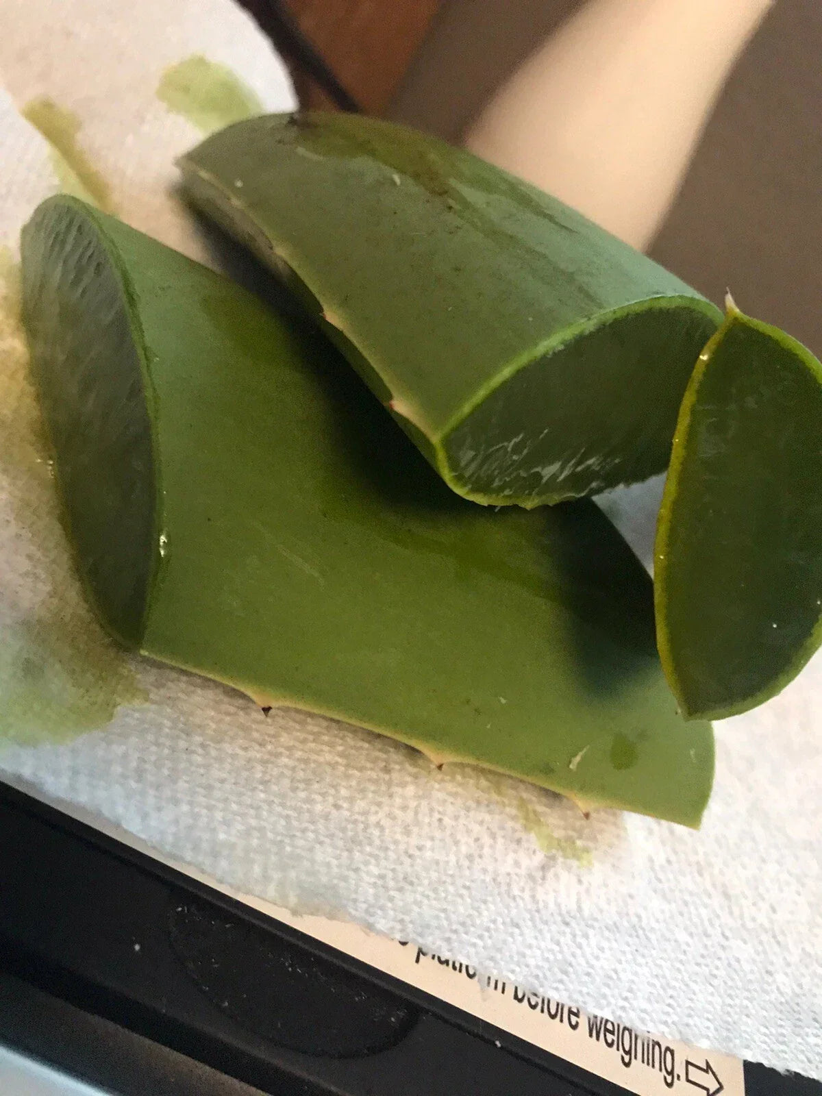 Organic Aloe Vera Fresh Leaves 8 Oz - Aloe Barbadensis Miller - All-Natural for Skincare, Culinary Uses, and Health Remedies