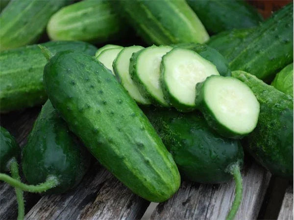 Cucumber Seeds - Heirloom Boston Pickling - Cucumis sativus - 30 Seeds for Pickling & Fresh Eating