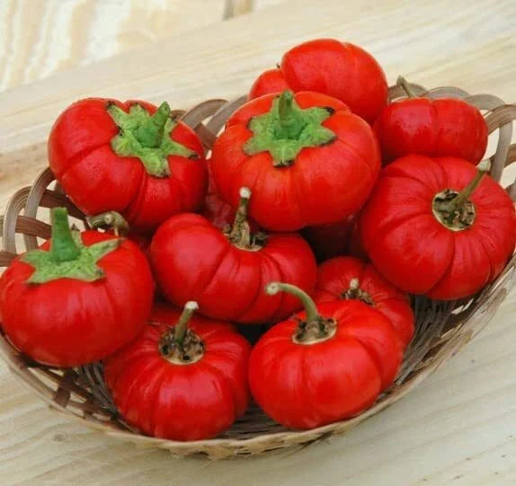 Pepper Pumpkin Seeds - 5 Rare Seeds - Unique Capsicum annuum Variety for Planting - Whimsical Garden Peppers