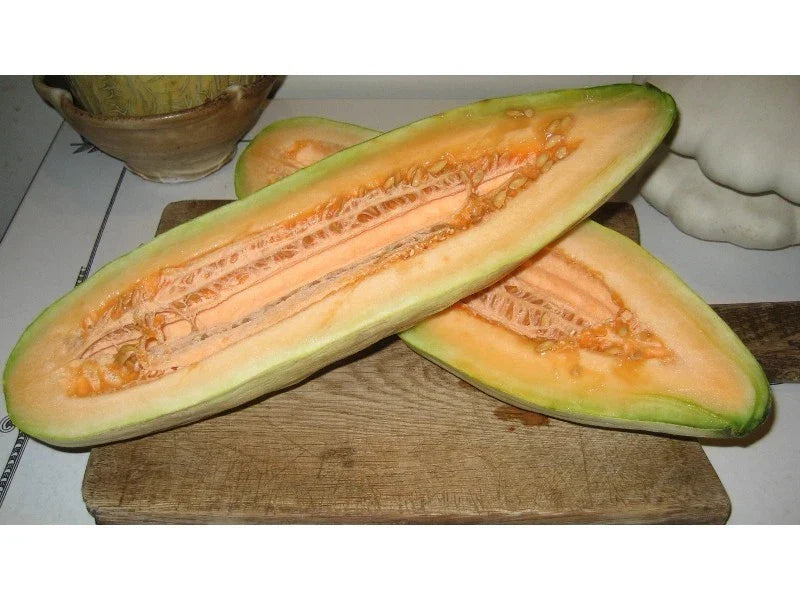 Banana Cantaloupe Seeds - 20 Pack - Cucumis melo - Non-GMO Fresh Seeds for Planting, Sweet Juicy Melons for Home Gardens